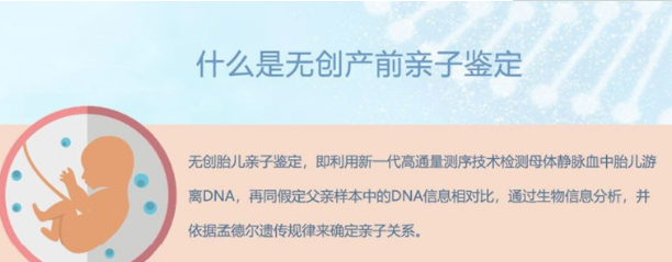 黄冈怀孕了需要怎么做DNA亲子鉴定,黄冈怀孕办理亲子鉴定需要的材料