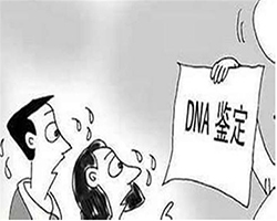 黄冈迁户DNA亲子鉴定怎么做，黄冈上户亲子鉴定大概多长时间出报告